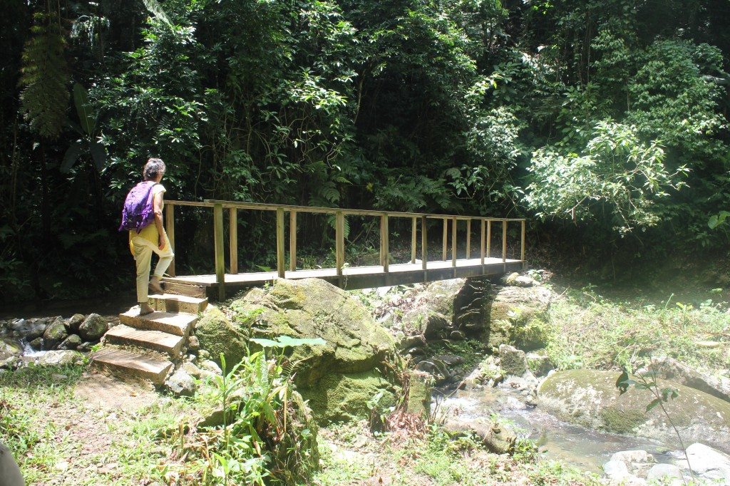 Una visitante camina sobre un puente de madera en el Bosque La Olimpia. 