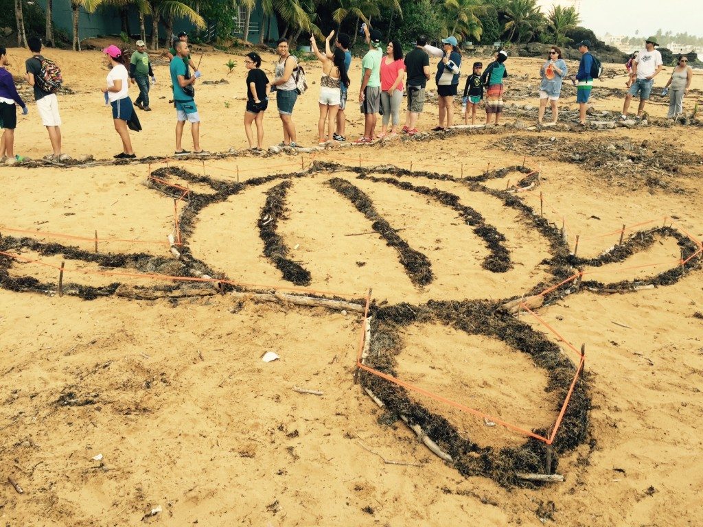 Durante el abrazo, los asistentes formaron una figura humana abrazando un tinglar dibujado en la arena con material vegetativo de la playa. 