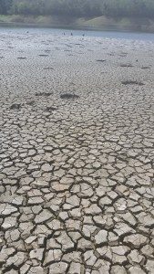Foto de sequía en La Plata - Copy